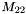 $ M_{22} $
